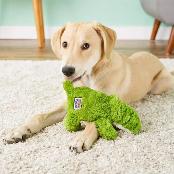 KONGCozieAlligatorDogToy_f17bcd07-c56f-45a1-b699-f77ac1b49c76.webp