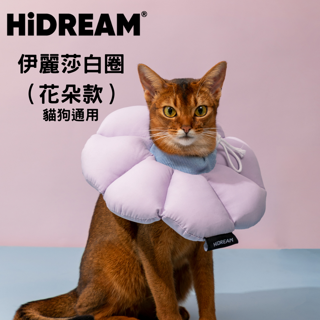 HiDream 花朵伊麗莎白圈 